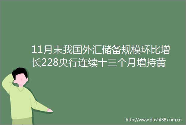 11月末我国外汇储备规模环比增长228央行连续十三个月增持黄金