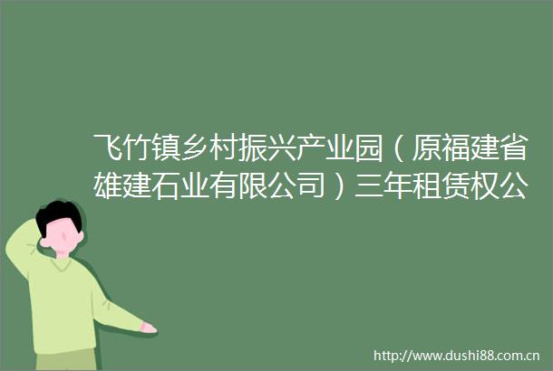 飞竹镇乡村振兴产业园（原福建省雄建石业有限公司）三年租赁权公开挂牌招租公告