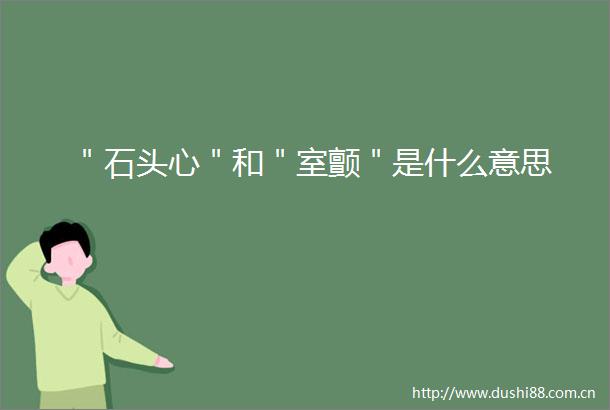 ＂石头心＂和＂室颤＂是什么意思