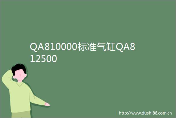 QA810000标准气缸QA812500