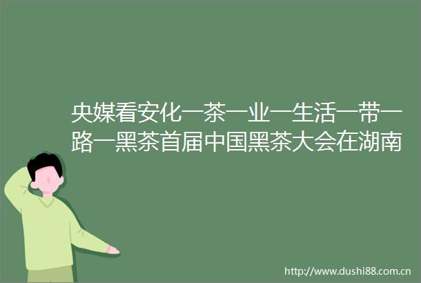 央媒看安化一茶一业一生活一带一路一黑茶首届黑茶大会在湖南安化县圆满闭幕