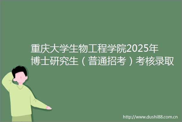 重庆大学生物工程学院2025年博士研究生（普通招考）考核录取实施细则