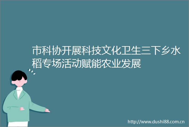 市科协开展科技文化卫生三下乡水稻专场活动赋能农业发展