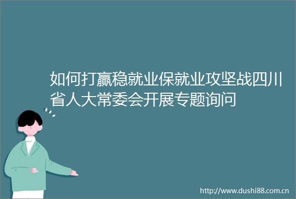 如何打赢稳就业保就业攻坚战四川省人大常委会开展专题询问