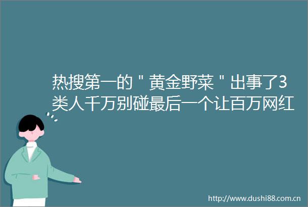热搜第一的＂黄金野菜＂出事了3类人千万别碰最后一个让百万网红住进ICU