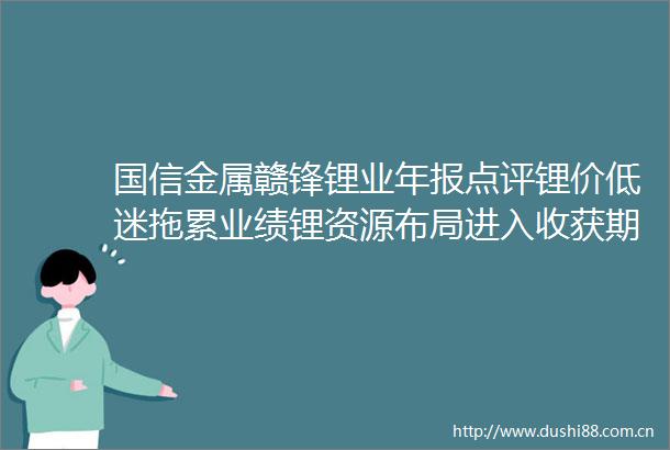 国信金属赣锋锂业年报点评锂价低迷拖累业绩锂资源布局进入收获期