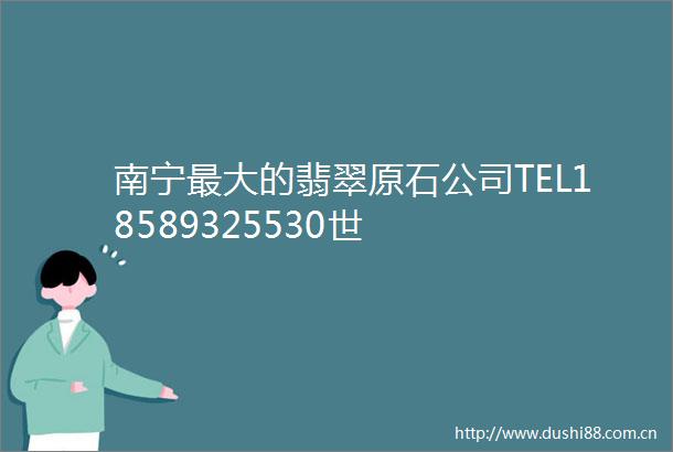 南宁最大的翡翠原石公司TEL18589325530世