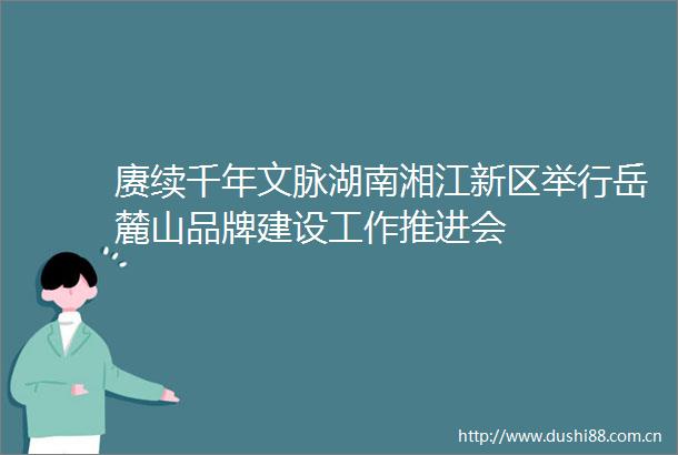 赓续千年文脉湖南湘江新区举行岳麓山品牌建设工作推进会