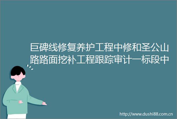 巨碑线修复养护工程中修和圣公山路路面挖补工程跟踪审计一标段中标（成交）结果公告