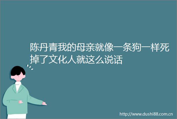 陈丹青我的母亲就像一条狗一样死掉了文化人就这么说话