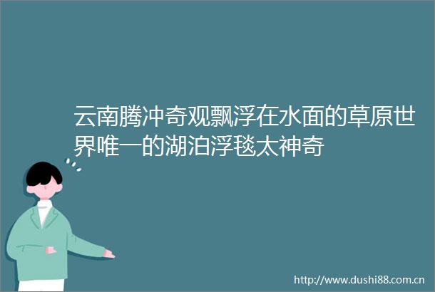 云南腾冲奇观飘浮在水面的草原世界唯一的湖泊浮毯太神奇