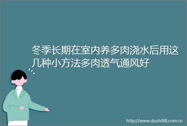 冬季长期在室内养多肉浇水后用这几种小方法多肉透气通风好