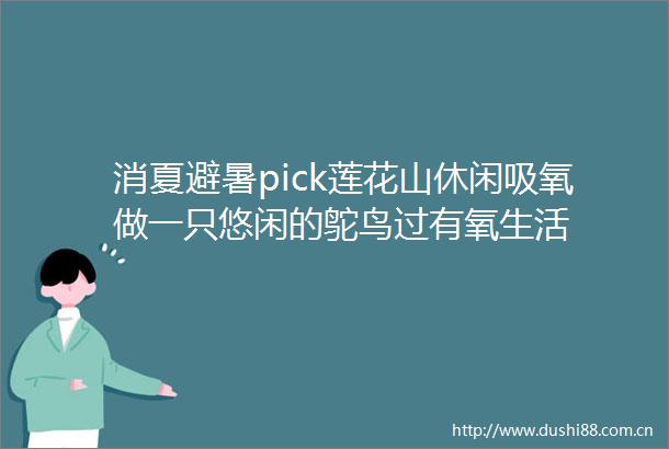 消夏避暑pick莲花山休闲吸氧做一只悠闲的鸵鸟过有氧生活