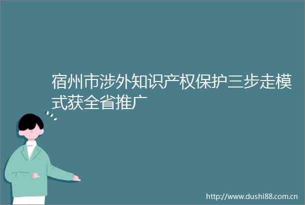 宿州市涉外知识产权保护三步走模式获全省推广