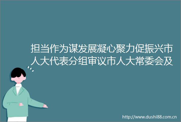 担当作为谋发展凝心聚力促振兴市人大代表分组审议市人大常委会及两院工作报告
