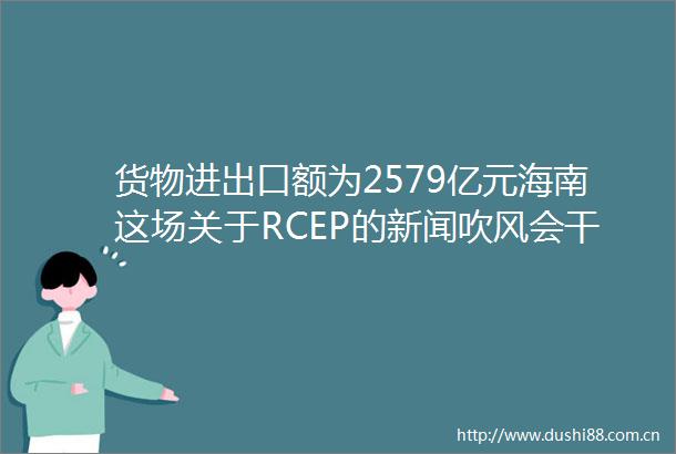 货物进出口额为2579亿元海南这场关于RCEP的新闻吹风会干货满满