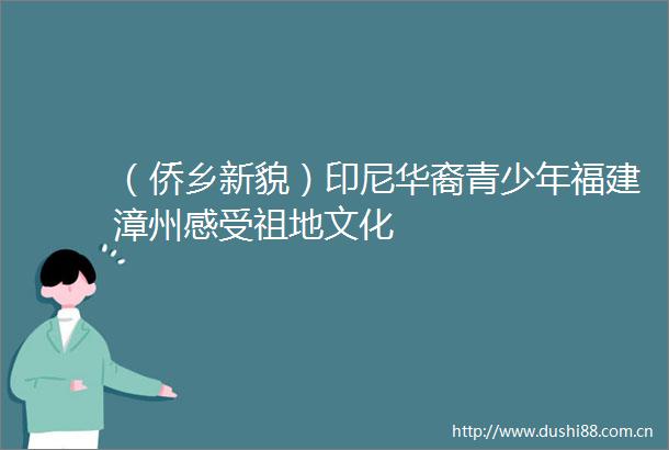 （侨乡新貌）印尼华裔青少年福建漳州感受祖地文化