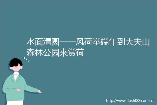 水面清圆一一风荷举端午到大夫山森林公园来赏荷