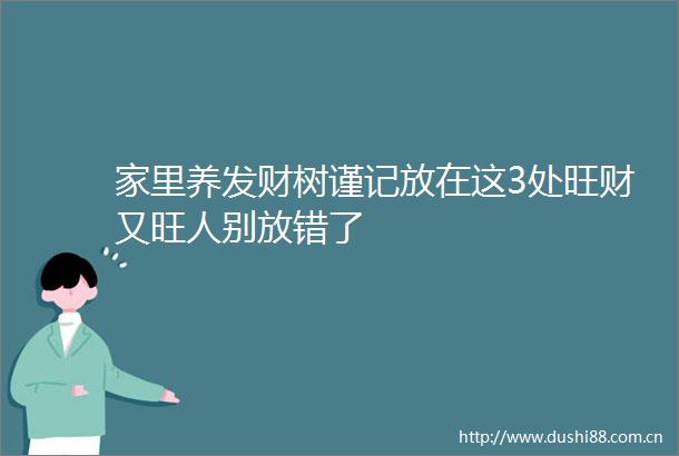 家里养发财树谨记放在这3处旺财又旺人别放错了
