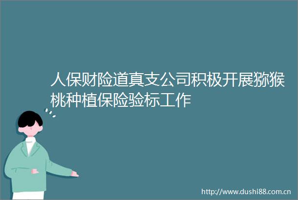 人保财险道真支公司积极开展猕猴桃种植保险验标工作
