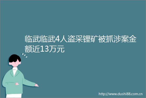 临武临武4人盗采锂矿被抓涉案金额近13万元