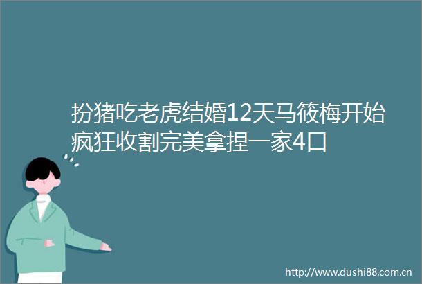 扮猪吃老虎结婚12天马筱梅开始疯狂收割完美拿捏一家4口