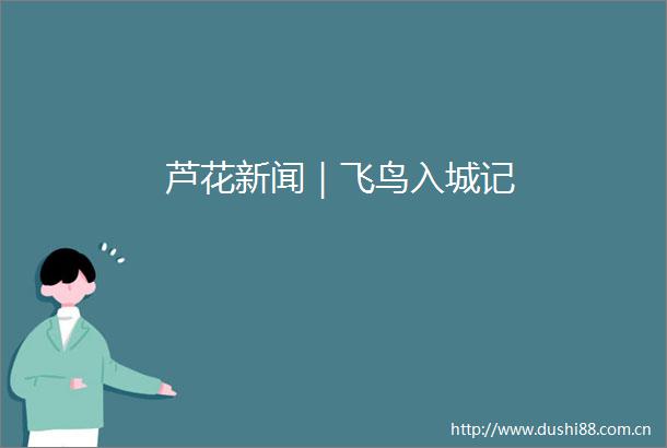 芦花新闻｜飞鸟入城记