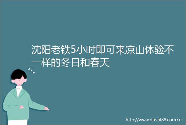 沈阳老铁5小时即可来凉山体验不一样的冬日和春天
