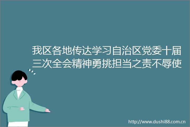 我区各地传达学习自治区党委十届三次全会精神勇挑担当之责不辱使命重任