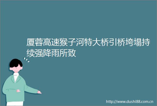 厦蓉高速猴子河特大桥引桥垮塌持续强降雨所致