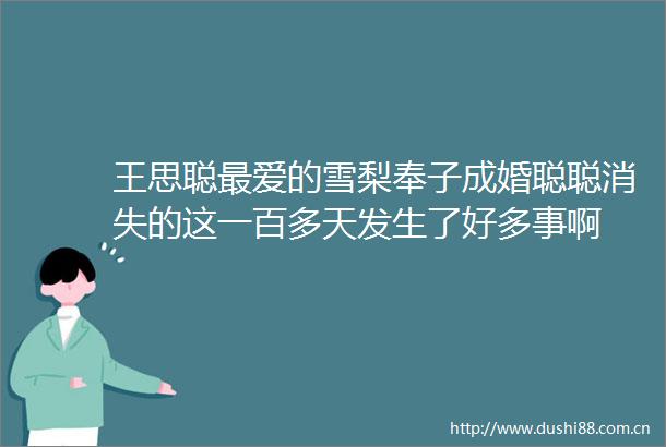 王思聪最爱的雪梨奉子成婚聪聪消失的这一百多天发生了好多事啊