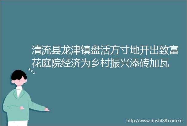 清流县龙津镇盘活方寸地开出致富花庭院经济为乡村振兴添砖加瓦