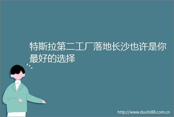 特斯拉第二工厂落地长沙也许是你最好的选择