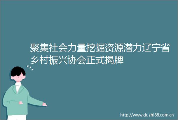 聚集社会力量挖掘资源潜力辽宁省乡村振兴协会正式揭牌