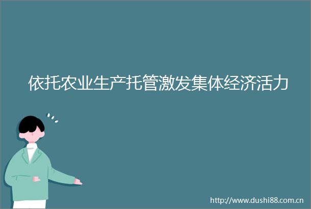 依托农业生产托管激发集体经济活力