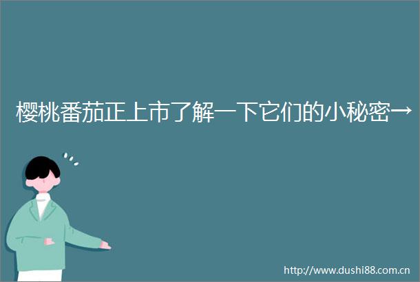 樱桃番茄正上市了解一下它们的小秘密→