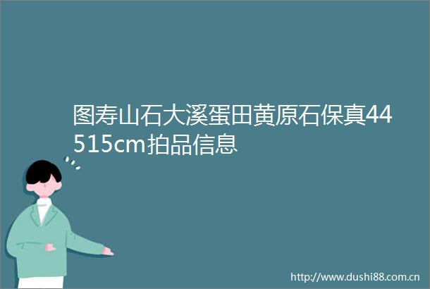 图寿山石大溪蛋田黄原石保真44515cm拍品信息