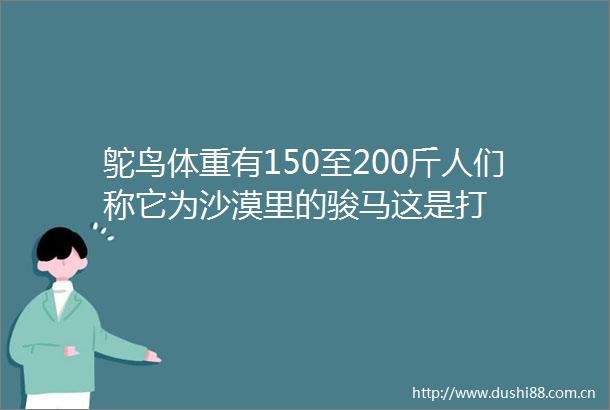 鸵鸟体重有150至200斤人们称它为沙漠里的骏马这是打