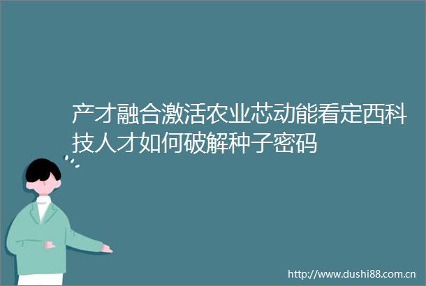 产才融合激活农业芯动能看定西科技人才如何破解种子密码