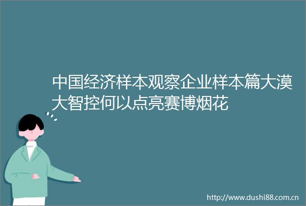 经济样本观察企业样本篇大漠大智控何以点亮赛博烟花