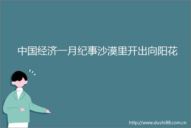 经济一月纪事沙漠里开出向阳花