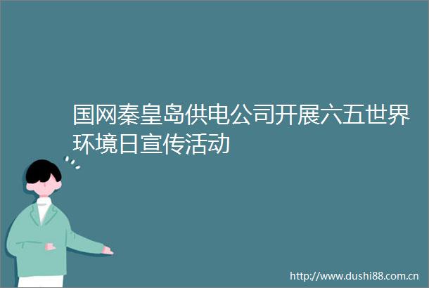 国网秦皇岛供电公司开展六五世界环境日宣传活动