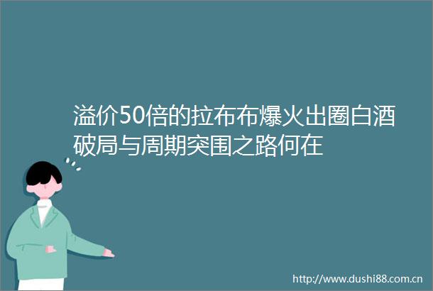 溢价50倍的拉布布爆火出圈白酒破局与周期突围之路何在