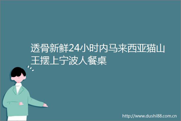 透骨新鲜24小时内马来西亚猫山王摆上宁波人餐桌