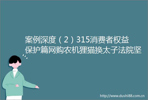 案例深度（2）315消费者权益保护篇网购农机狸猫换太子坚决保障农村消费者权益