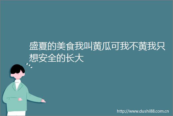 盛夏的美食我叫黄瓜可我不黄我只想安全的长大