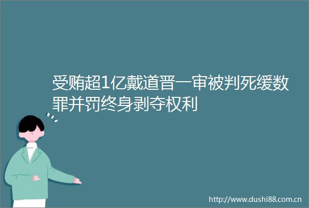 超1亿戴道晋一审被判死缓数罪并罚终身剥夺