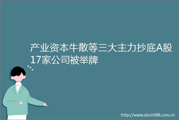 产业资本牛散等三大主力抄底A股17家公司被举牌