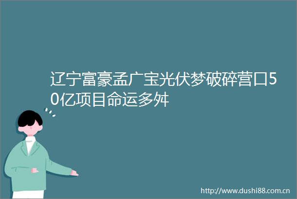 辽宁富豪孟广宝光伏梦破碎营口50亿项目命运多舛