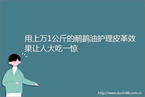 用上万1公斤的鸸鹋油护理皮革效果让人大吃一惊